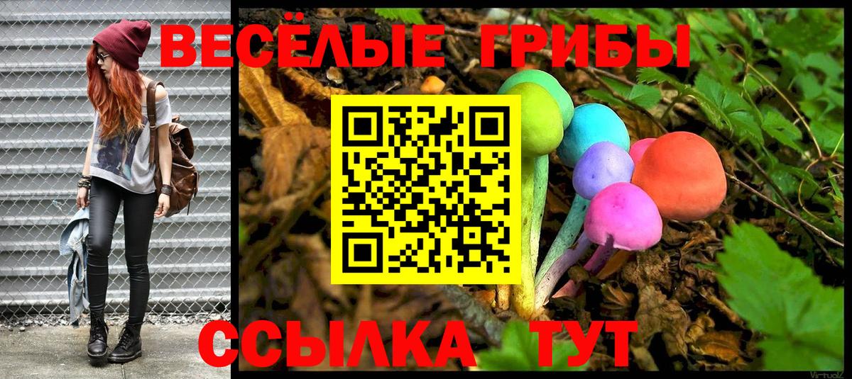 Сызрань  Псилоцибиновые грибы мухоморы  Вход с VPN 